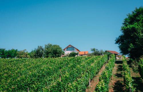 Villa Vukov Breg - Foto 42