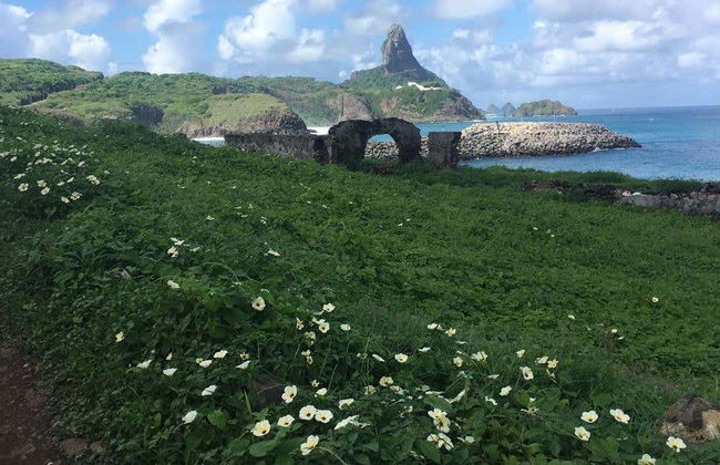 Randonnée sur la Côte Bleue - Photo 8