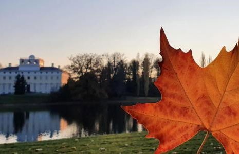 Ferien im Gartenrausch - Gönn Dir eine Auszeit im Herzen von Wörlitz - Foto 40