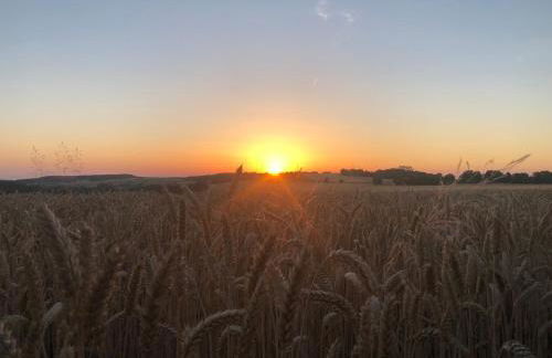 Ferienwohnung auf dem Bauernhof in Hachenburg Hof Kleeberg I Man kann ein Appartment mit Bad zubuchen - Foto 20