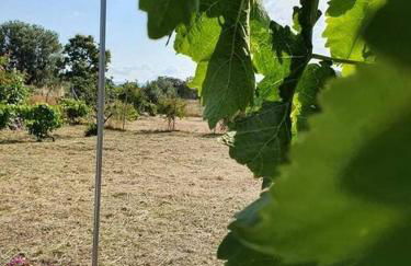 Ήσυχη μονοκατοικία κοντά στη θάλασσα!!! - Photo 26