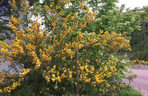 Haus Gisela - Foto 32