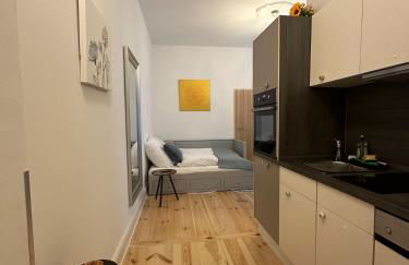 ROD 3 - quiet and central studio in Prenzlauer Berg - Foto 3