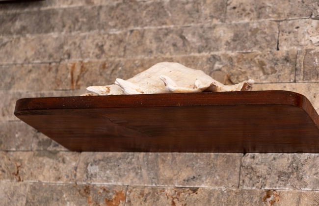 Bivalvia Apartments - Foto 3