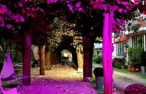 zentral club voltio-jacuzzi - Foto 51