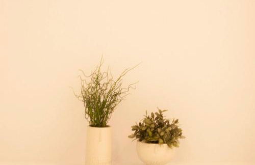 LOFT Accommodative B - Foto 19