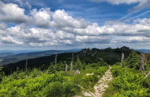 Studio Sumava-Bayerischer Wald - Foto 21