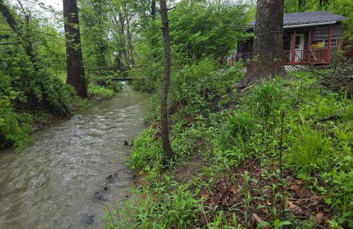 The Happy Place - Foto 74