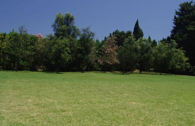 Il Contadino - Foto 26