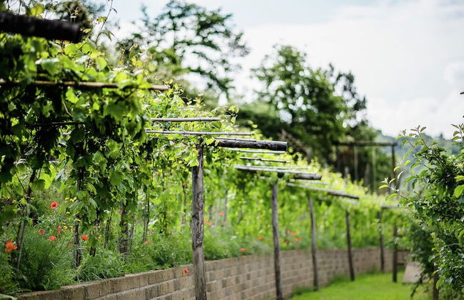 Holiday Home in Paciano Near Lake Trasimeno - Foto 33