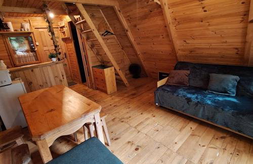 Przytulny domek na skraju lasu - Foto 1