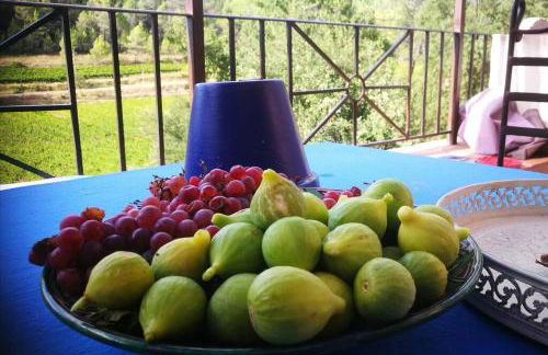 Le Figuier appart 2-3 pers en plein vignoble avec piscine privée à 30mn des gorgesdu Verdon et des plages - Foto 28