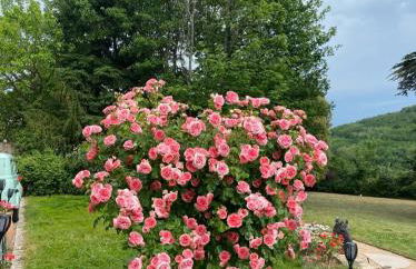 Château des Janroux - Foto 55