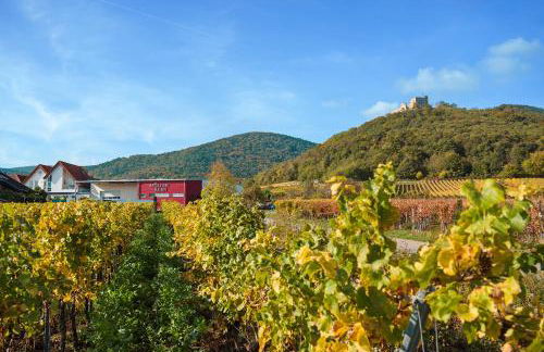 Weingut & Ferienwohnungen Müller-Kern - Foto 6