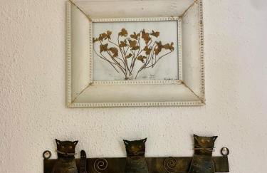 Casa Alina - Ischia Ponte - Foto 23