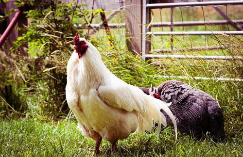 Worfe View Cottage - Foto 15