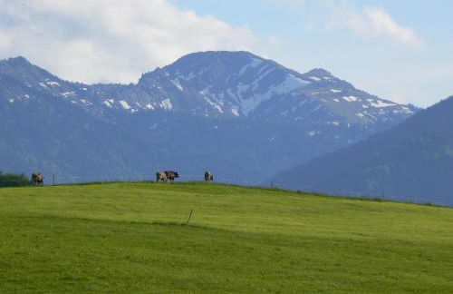 Ferienhof Hiemer - Foto 12