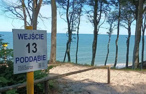 Freiraum Wytowno - Foto 38