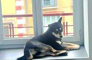 Appartement XXL 120m2 - 10 couchages - 3ch - centre Foix - 2 sdb-2 wc - Parking gratuit à 1 Minute - Foto 39