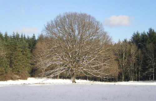 Gîte 3 épis avec 2 chambres, terrasse et Wi-Fi - FR-1-496-161 - Foto 22