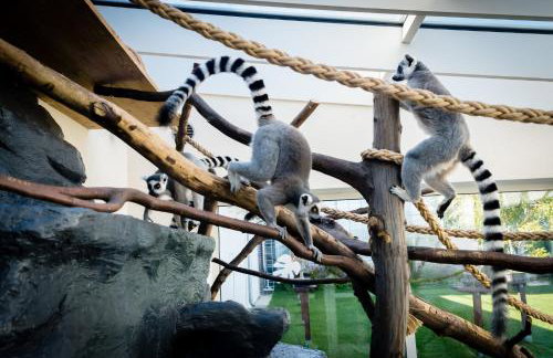 Apartament Silver - Głuszyca - Góry Sowie - Foto 37