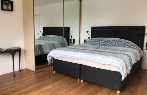 Old Egg Shop - Foto 8