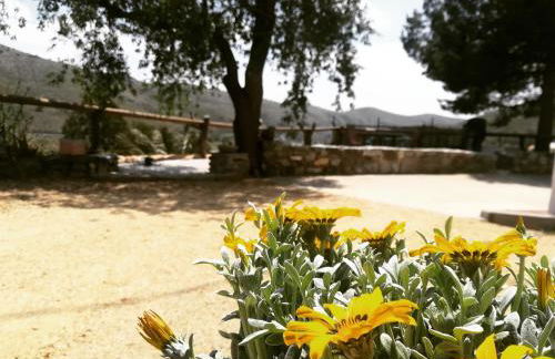 Cortijo Claudia - Foto 54