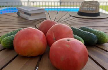 Casa Antonia - Foto 25