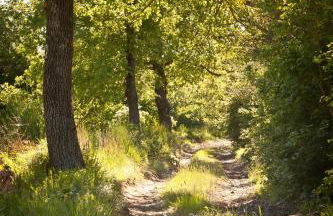 Relais Parco Del Subasio - Photo 66