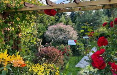 Mr. Sowa Sokolec - Foto 42