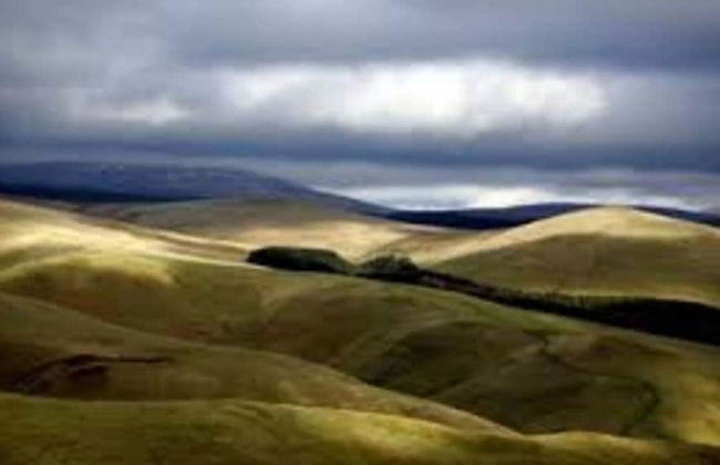 The Orchard House - Foto 38