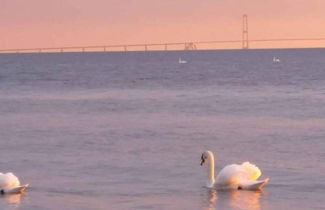 4 Person Holiday Home in Slagelse - Foto 28