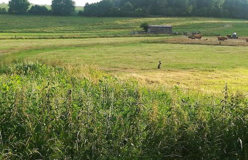 Ferienwohnung SeeGlück Bostalsee - Foto 19