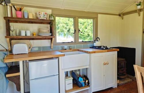 Pen Bryn Shepherd Hut - Foto 9