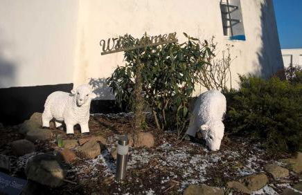 Mühlenurlaub Südheide - Foto 12