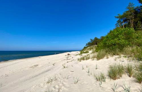 Studio Wisełka Leśna - Foto 3