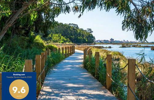 Passadiços da Ria - Foto 4