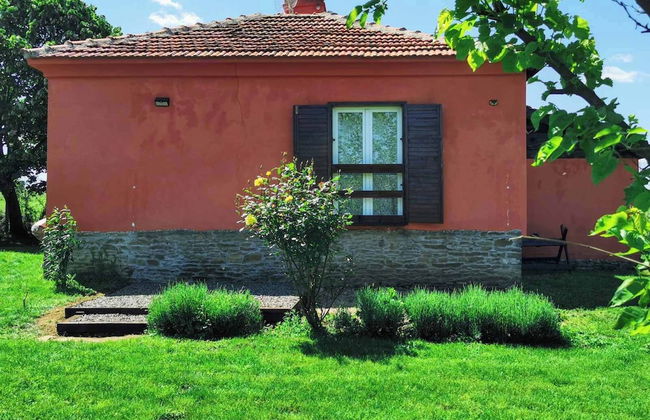 Cozy 1 Bed Cottage in Ognen, Near Karnobat, Burgas - Photo 46