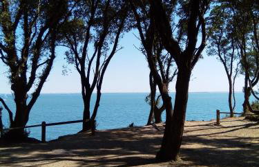 Nid Douillet - Foto 21