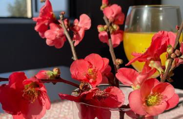 Quinta da Mouracha - Foto 24