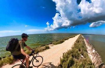 Delphina House - Foto 34