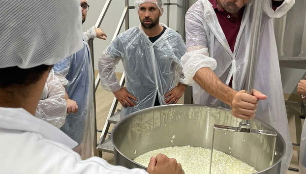 Making our own cheese