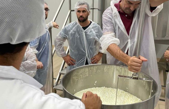 Cheese Factory Visit, Tasting & Workshop - Photo 4