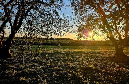 Le Bastidon de Dudule - Foto 19