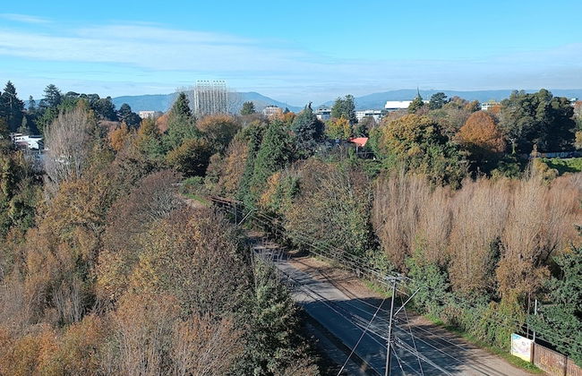 Departamento céntrico Isla teja 19 - Foto 58