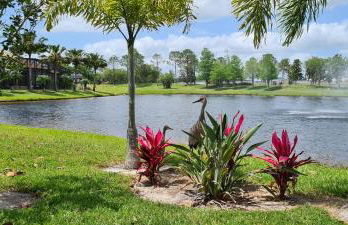 Orlando Disneyland - Foto 6