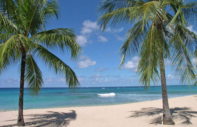 Condos on Glitter Bay Estate by Blue Sky Luxury - Foto 50