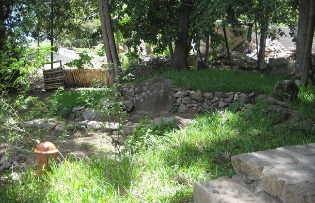 Tzikin Jaay - Foto 18