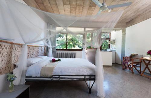 Studios Kyparissi & Spa - Photo 16