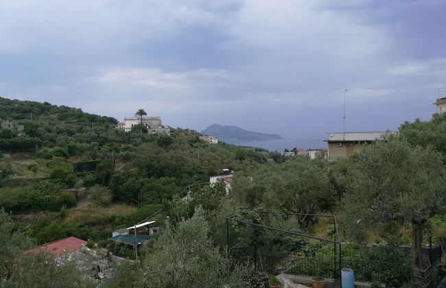 Agriturismo Oleum - Foto 42